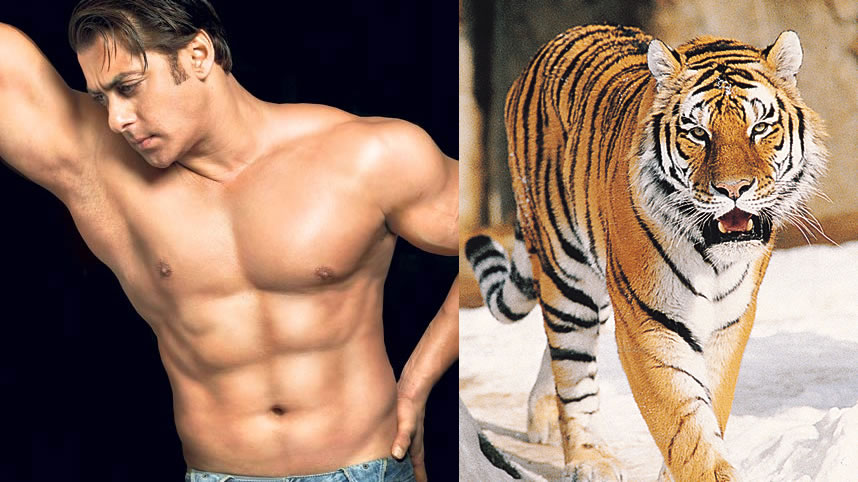 Sher Khan is All Set for Shooting