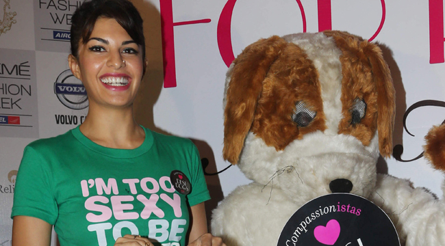 Jacqueline Fernandez's Love for Animals