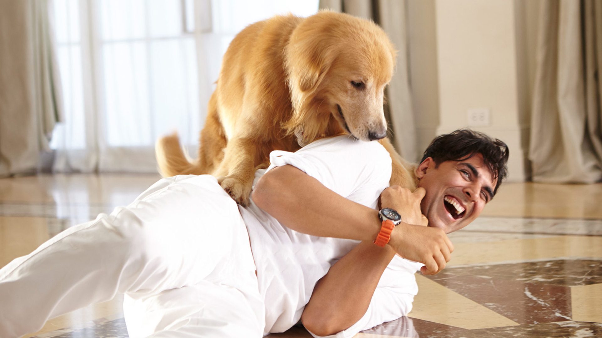 https://cdn.bollywoodbubble.com/wp-content/uploads/2013/06/akshay_kumar_with_dog_in_entertainment.jpg