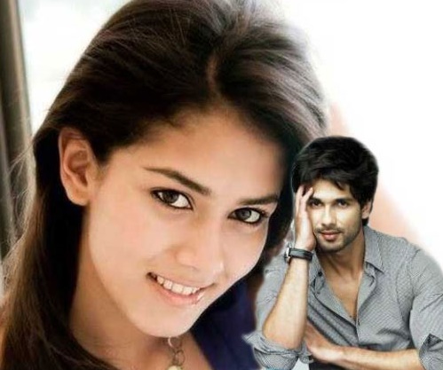 Shahid Kapoor-Mira Rajput