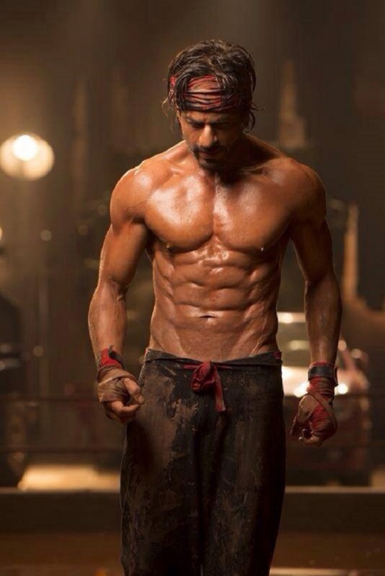 Shahrukh Khan, Shahrukh Khan abs