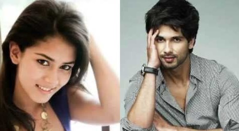 Mira Rajput And Shahid Kapoor
