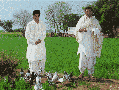 Dilwale Dulhania Le Jayenge Scenes