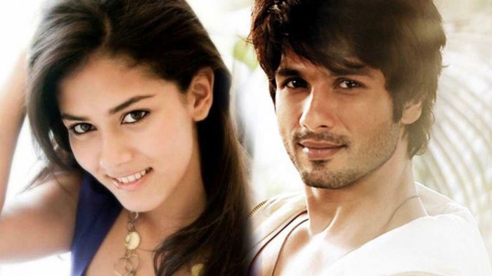 Mira Rajput And Shahid Kapoor