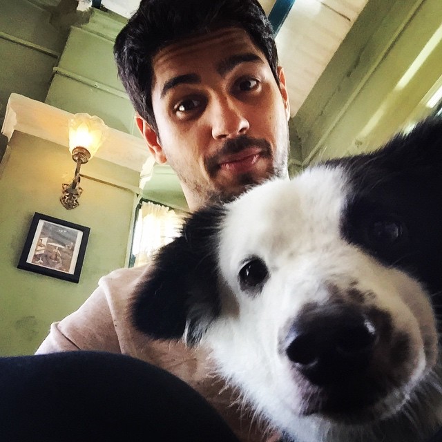 Sidharth Malhotra with dog