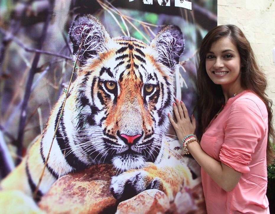 Dia Mirza does her bit to 'Save Our Tigers'