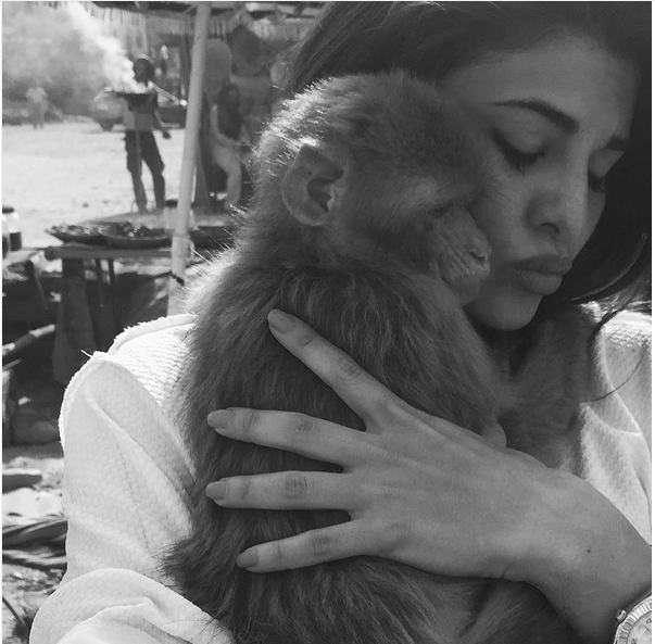 Jacqueline Fernandez