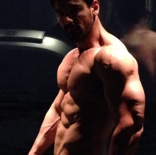 John Abraham shirtless picture