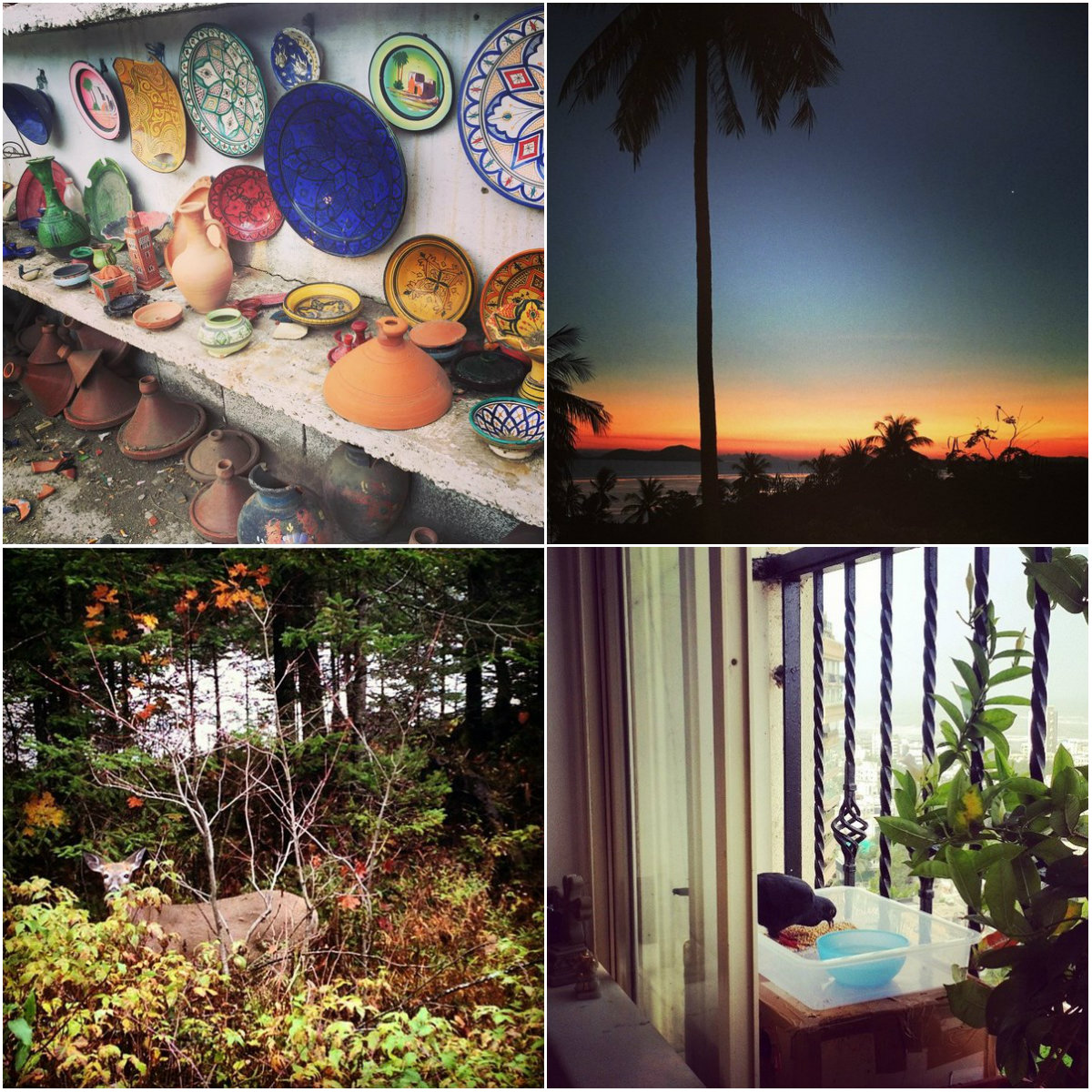 Jacqueline Fernandez