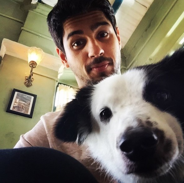 Sidharth Malhotra Instagram pictures