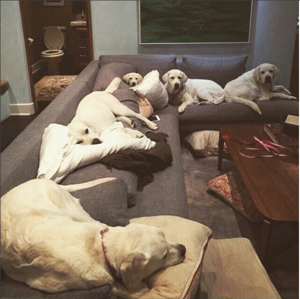 Anushka posted a picture of her treasure!