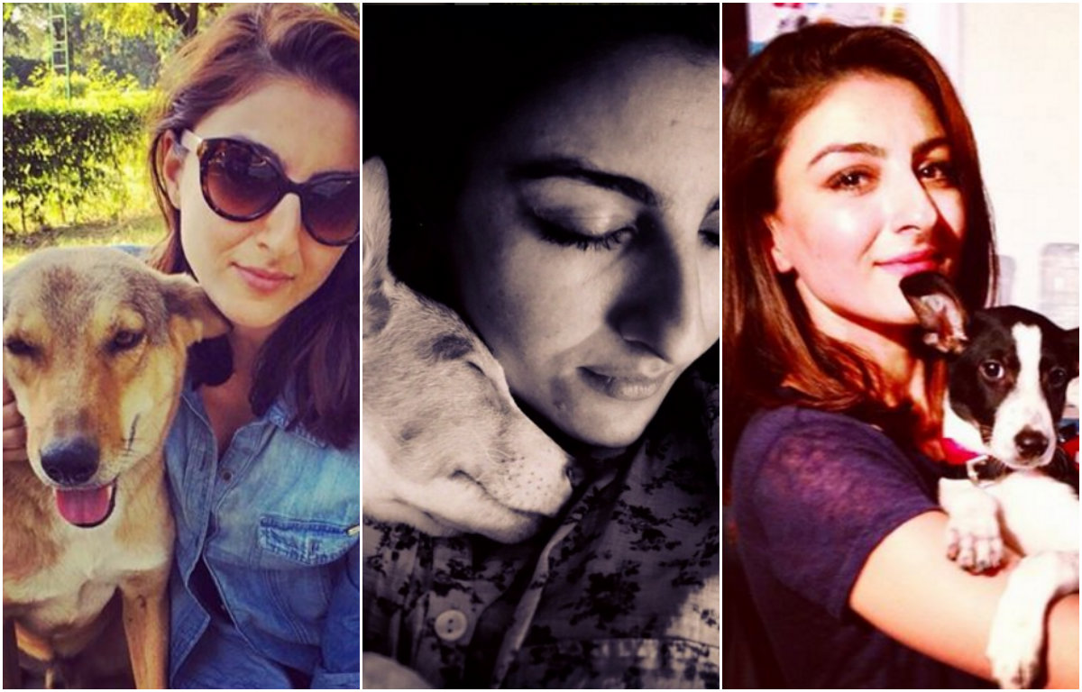 Soha Ali Khan puppy love
