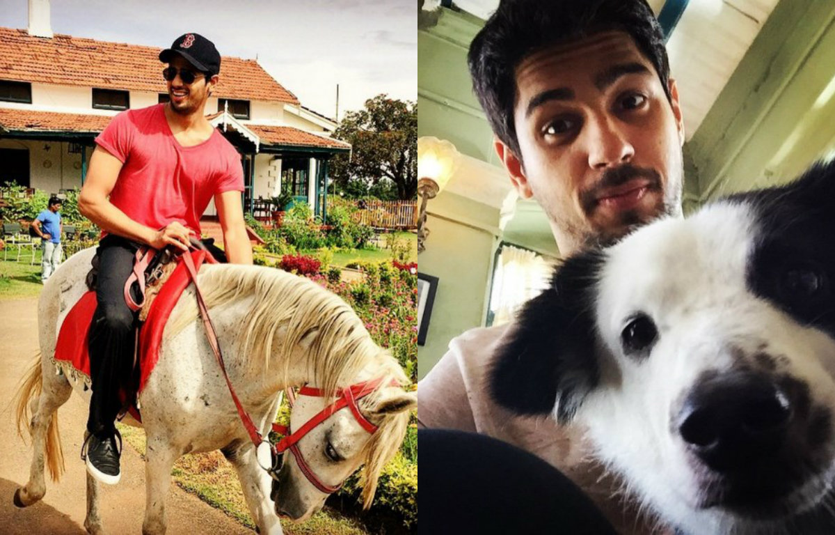 These Instagram pictures of Sidharth Malhotra are so irresistible that you will follow him right now