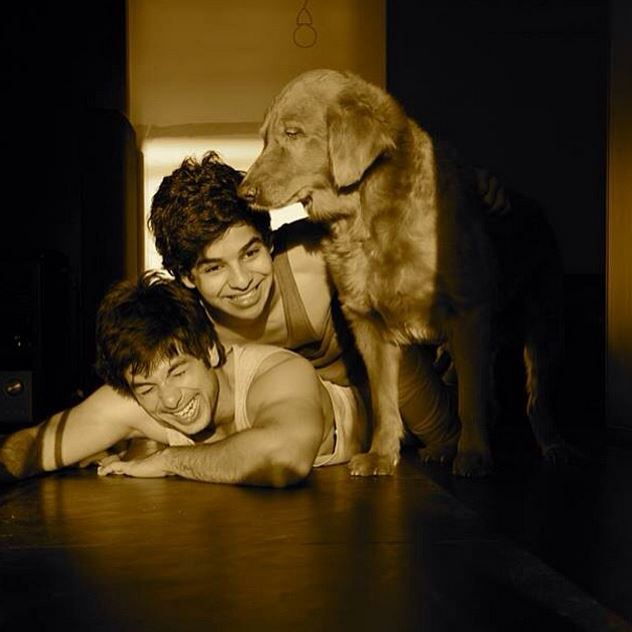 Shahid Kapoor - Ishaan Khattar
