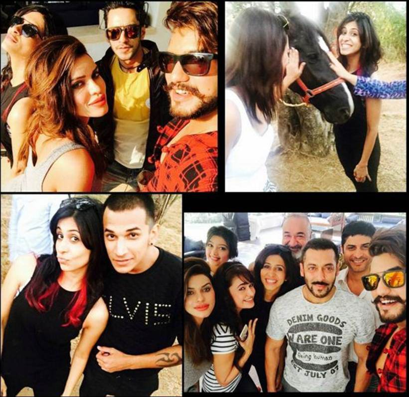 Bigg boss 9 contestants