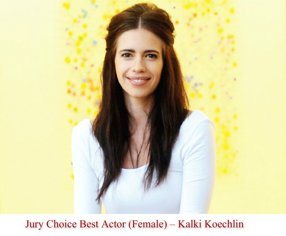 Star Screen Awards 2016