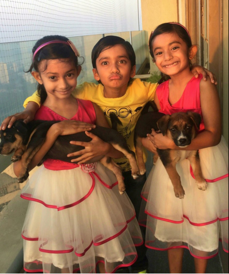 Farah Khan's Triplets - Birthday special