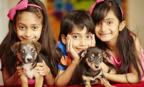 Farah Khan's Triplets - Birthday special