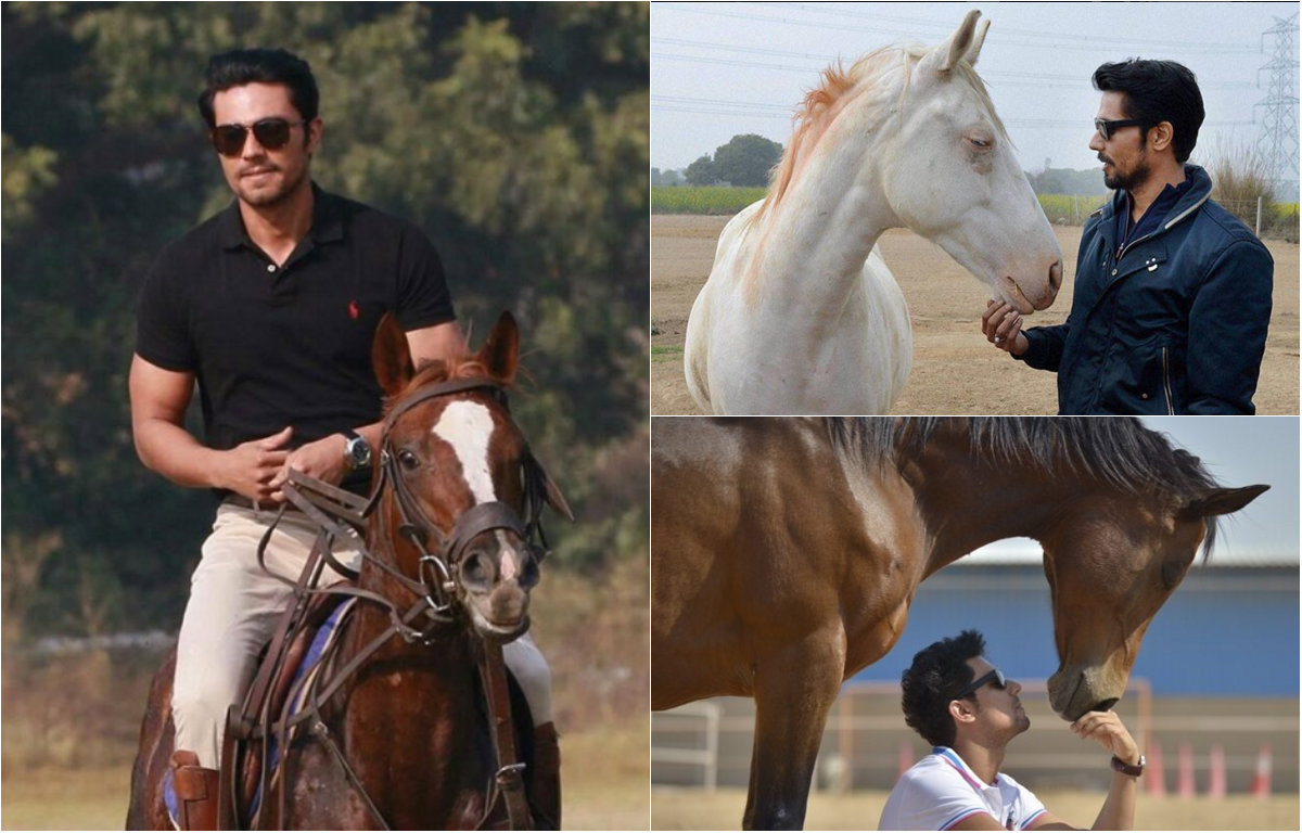 Randeep Hooda with horses