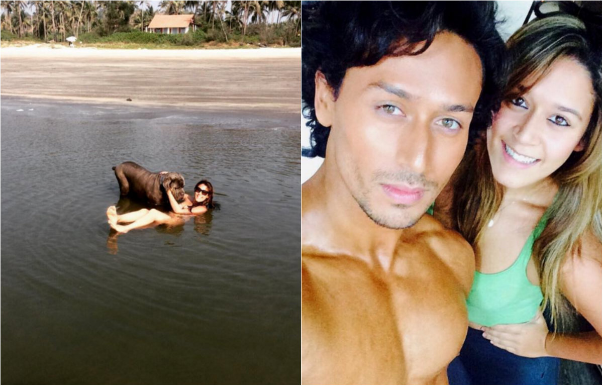 Krishna Shroff Instagam