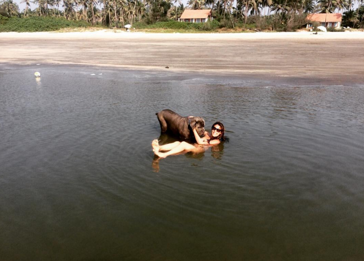 Krishna Shroff's Instagram photos