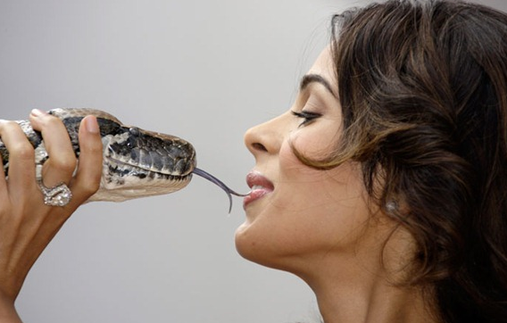 Mallika Sherawat in 'Hiss'