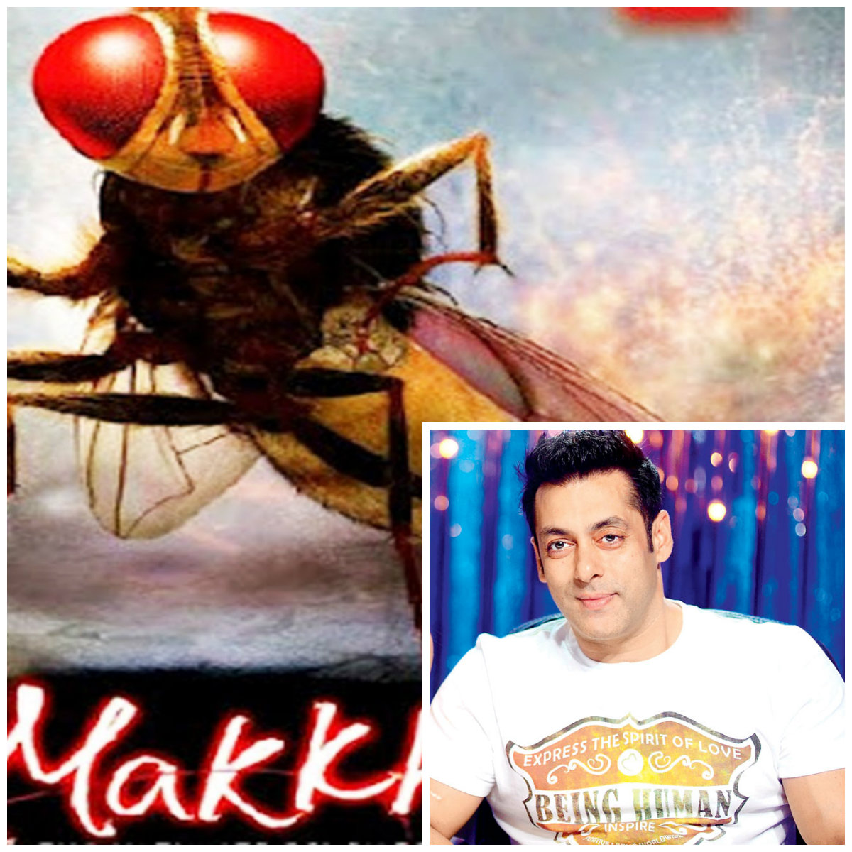 Salman Khan to star in the sequel of 'Makkhi'. Excited much?