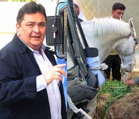 Rishi Kapoor Shaktimaan