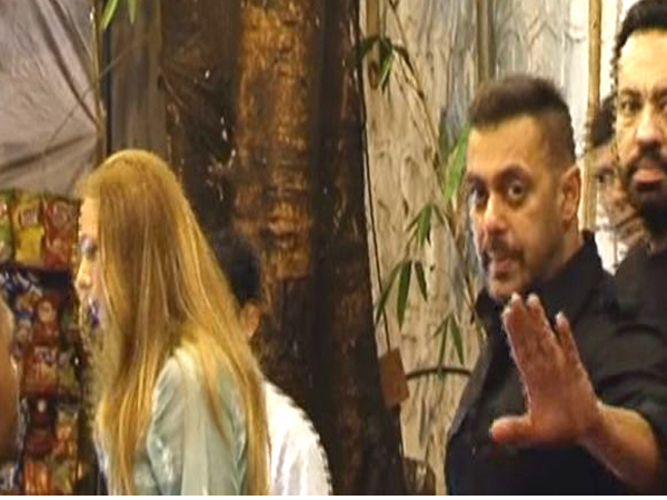 Iulia Salman KOrner house