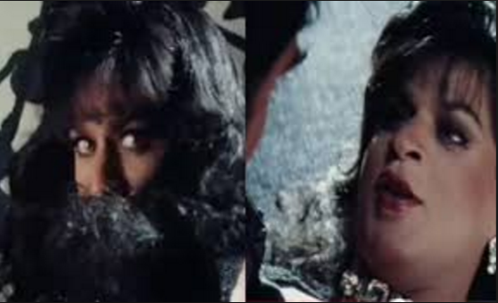 Shah Rukh Khan in Trimurti and Duplicate