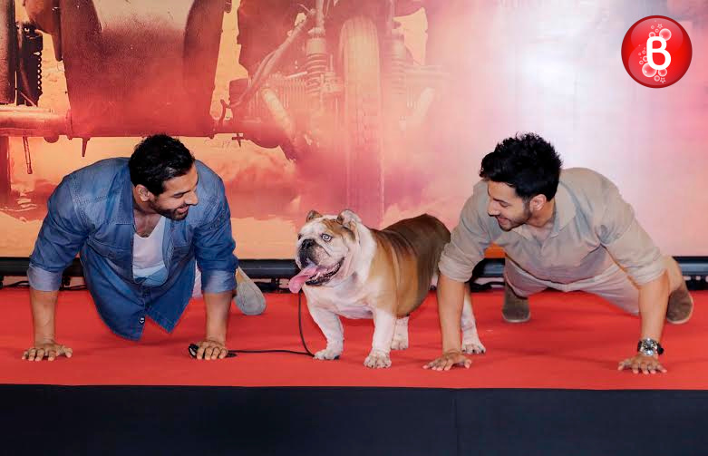 John Abraham and Varun Dhawan at 'Dishoom' success press conference