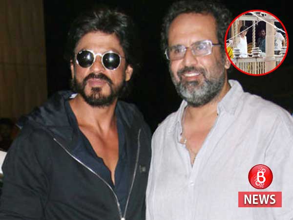 Shah Rukh Khan in Aanand L Rai movie