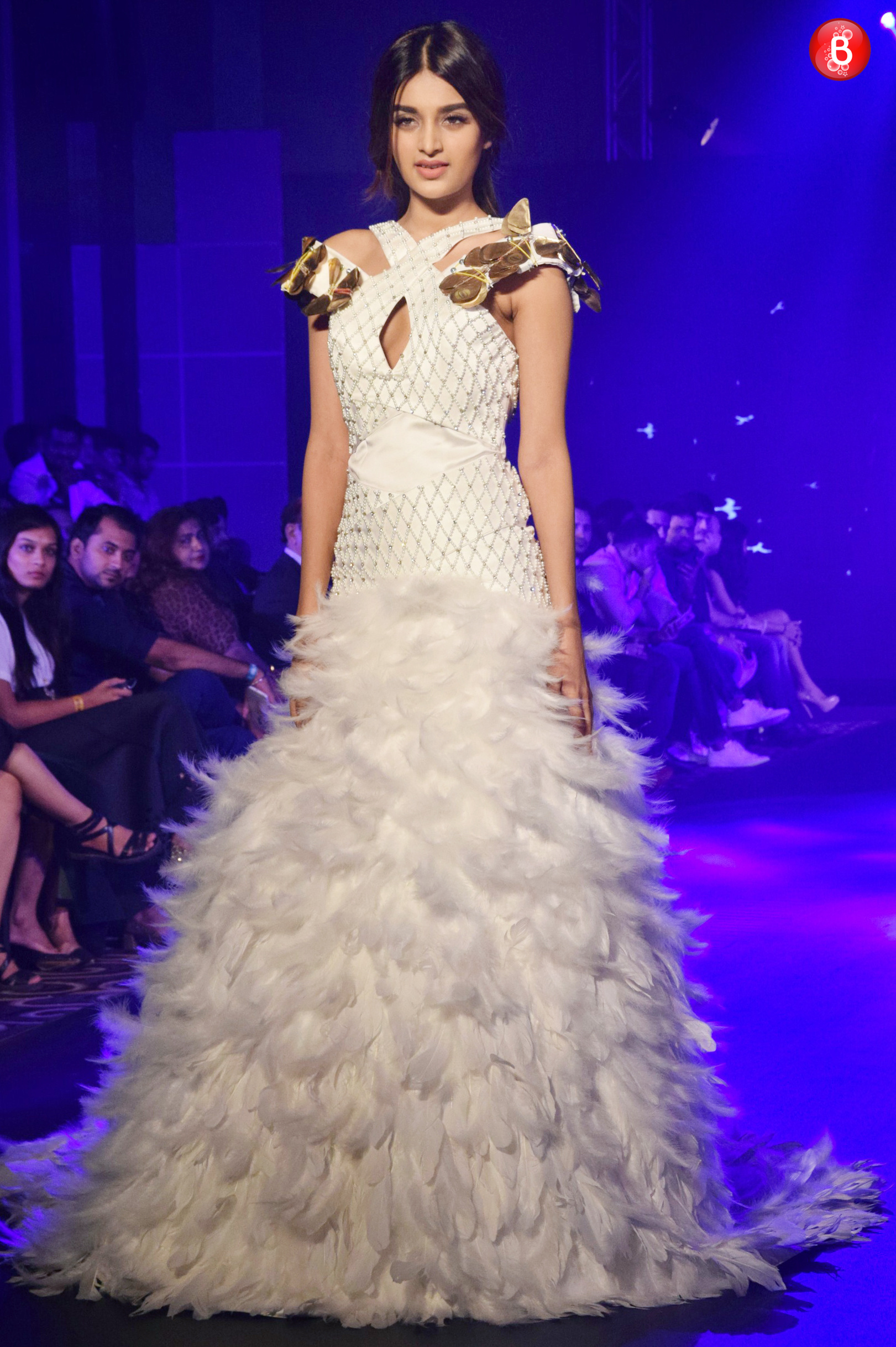 Nidhhi Agerwal photos