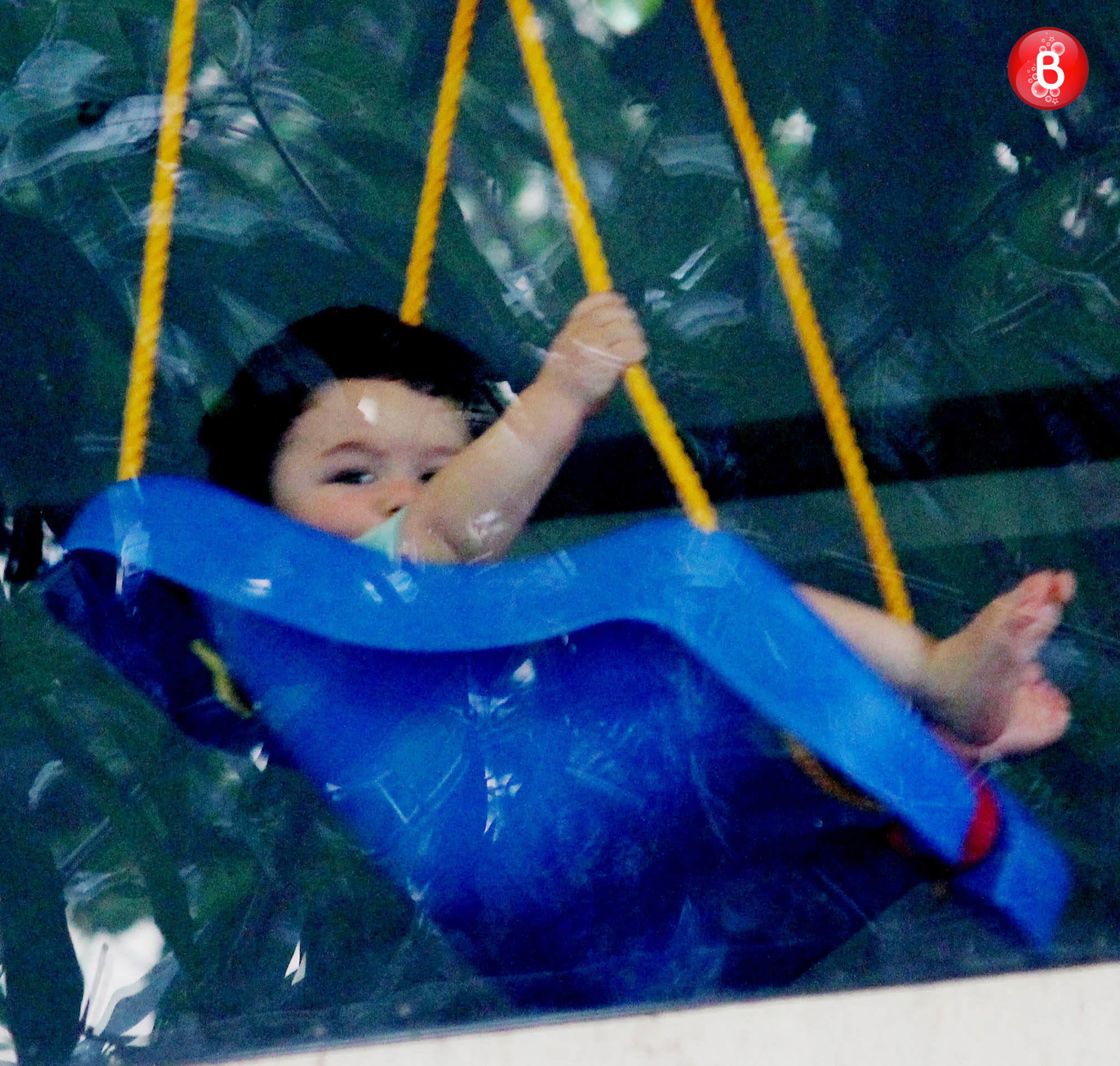 Taimur Ali Khan pictures