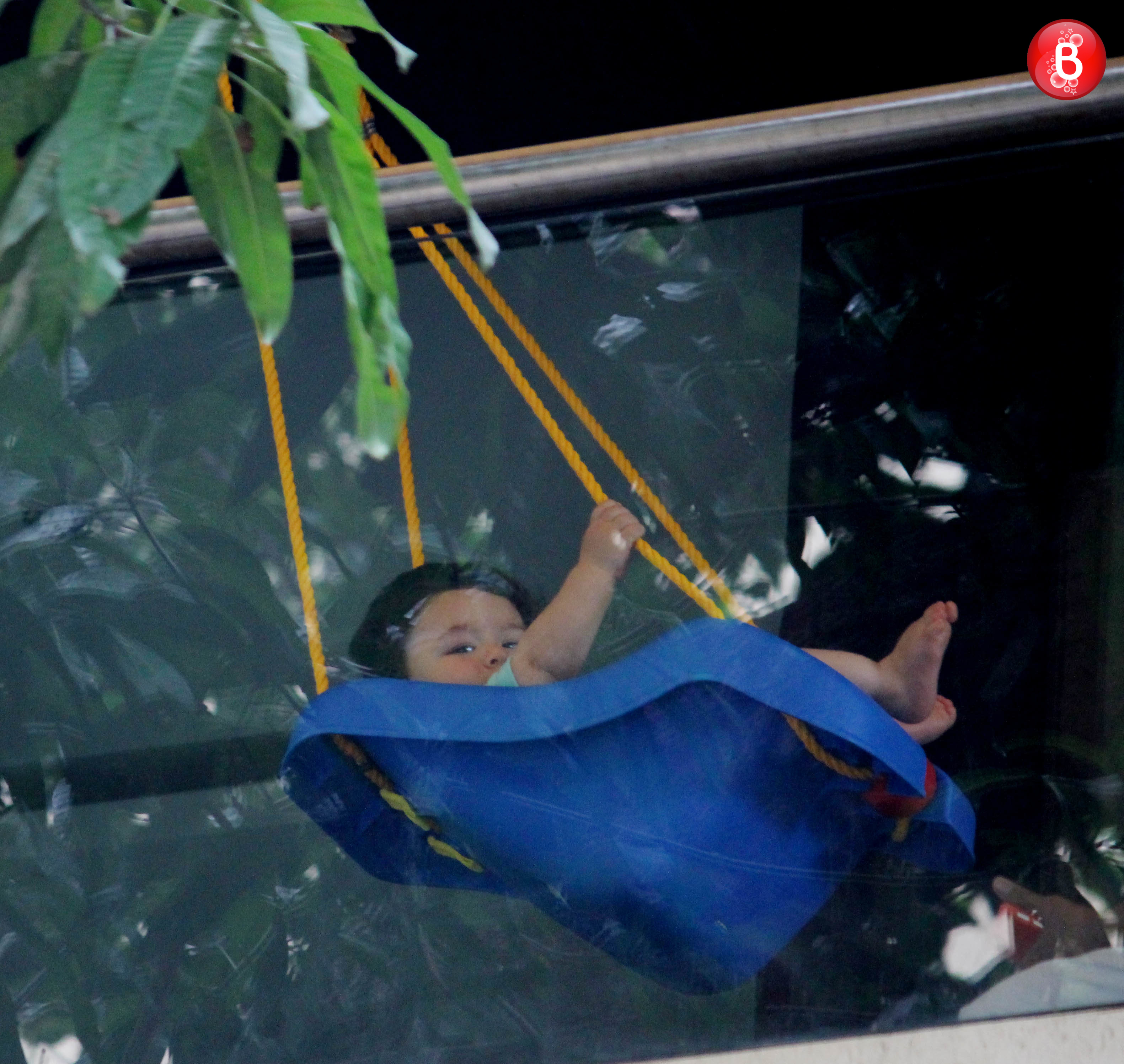 Taimur Ali Khan pictures