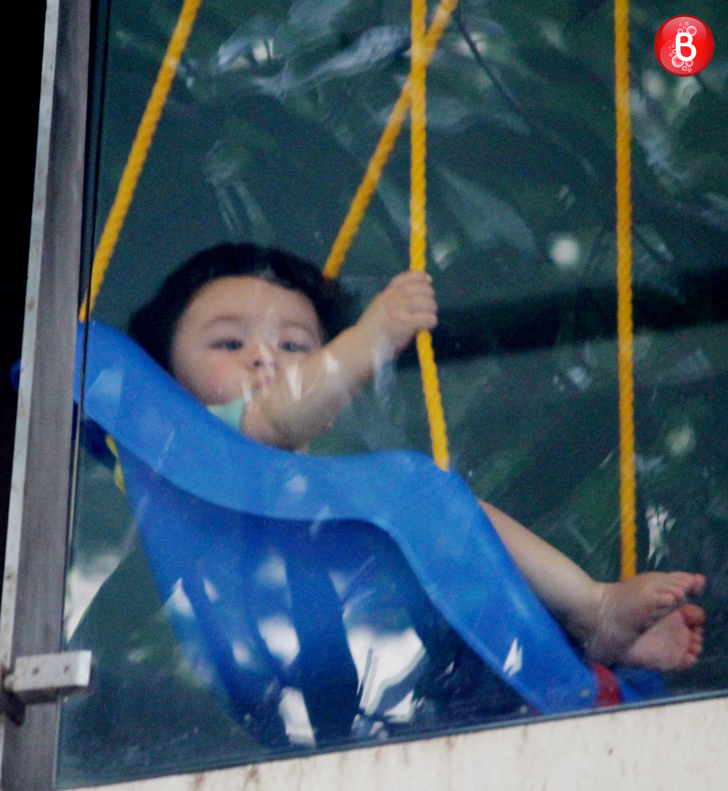 Taimur Ali Khan pictures