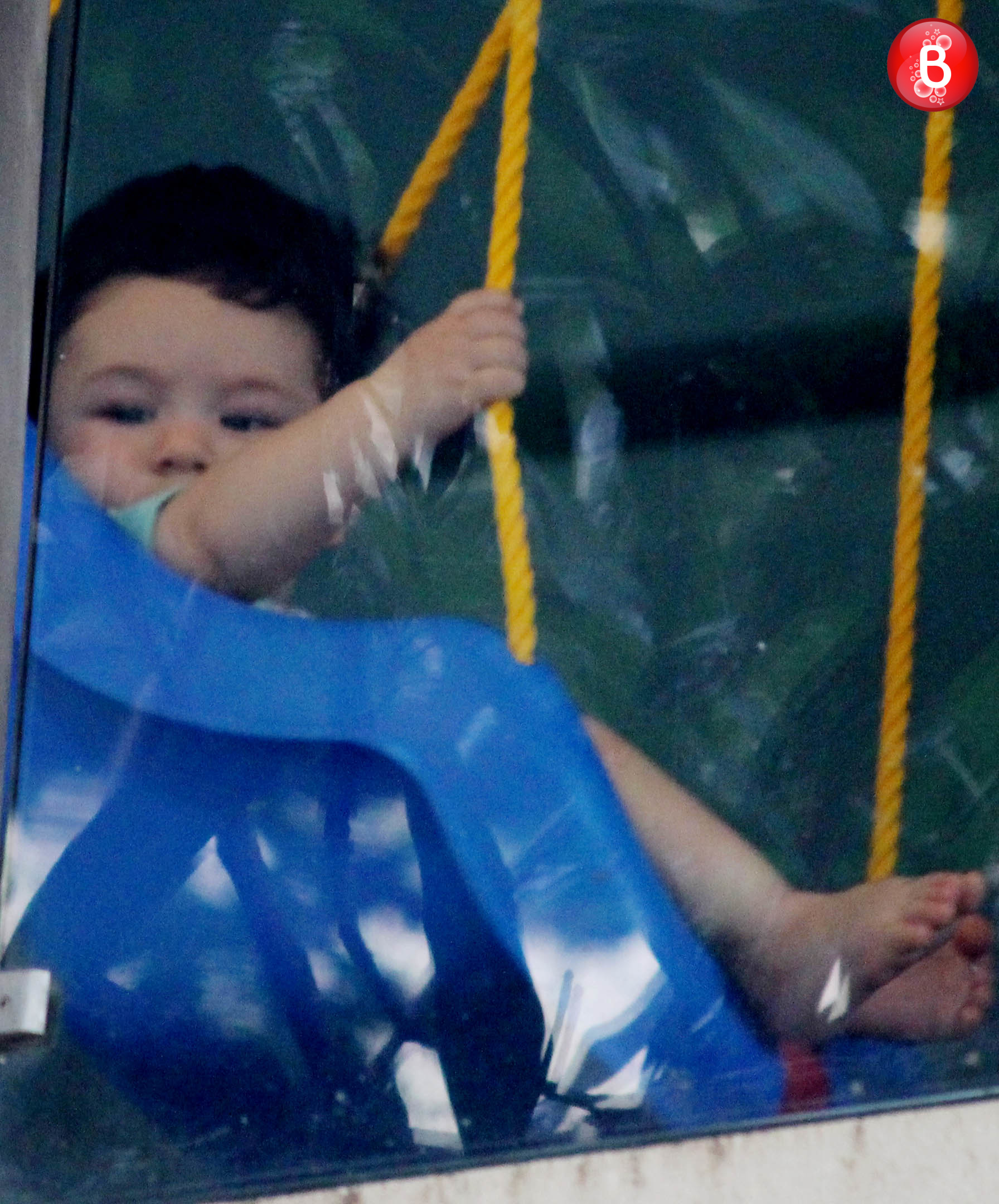 Taimur Ali Khan pictures