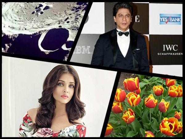 places and things named after Bollywood celebs