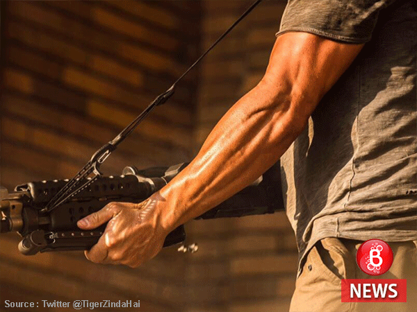 Tiger Zinda Hai Salman Khan