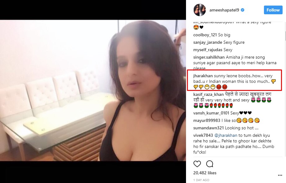 Ameesha trolled on Instagram