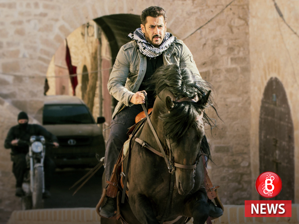 Salman Khan in Tiger Zinda Hai