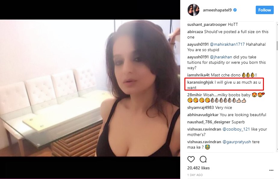 Ameesha trolled on Instagram