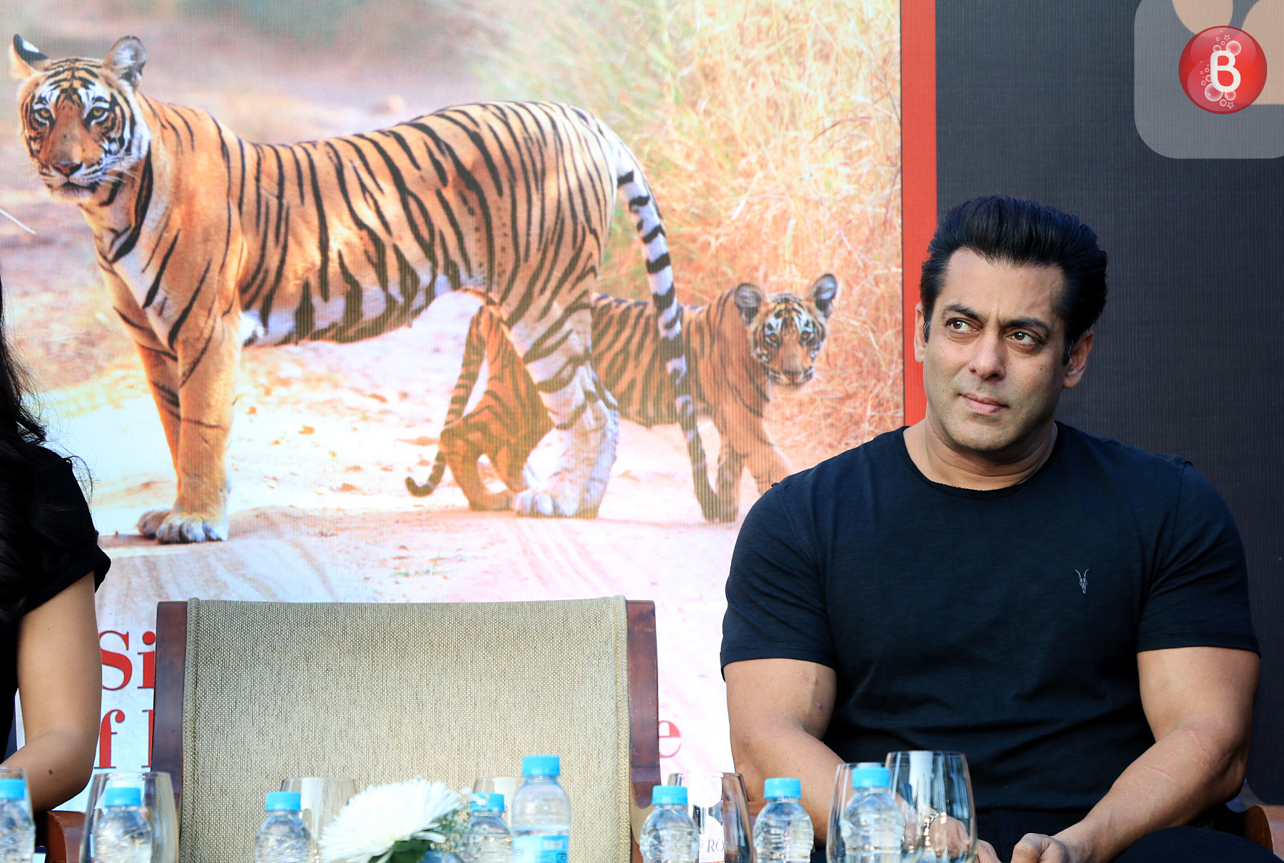 salman katrina at bina kak book launch