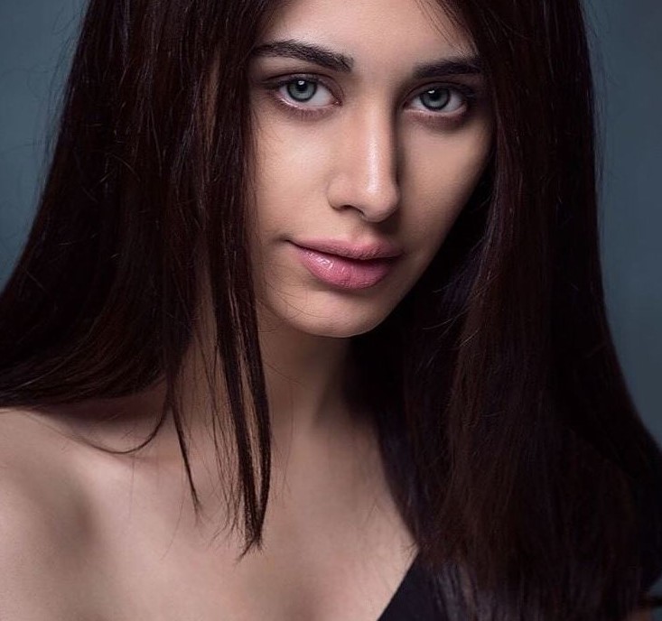 Salman Khan's newfound talent Warina Hussain; here's all you need to ...