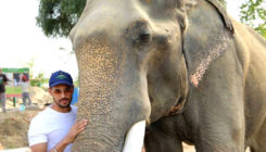 Siddharth Malhotra visits Mathura elephant rescue centre