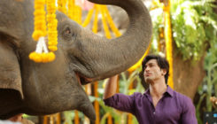 Vidyut Jammwal's 'Junglee' gets a new release date!