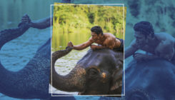 Vidyut Jammwal mesmerized by the mighty elephants after shooting for 'Junglee'