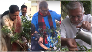 VIDEO: Music and Government join hands for the awareness of Tree Plantation