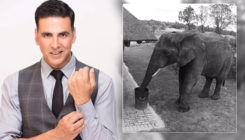 Akshay Kumar's Monday Motivation post is food for thought