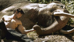 World Elephant Day: Let's go 'Junglee' with Vidyut Jammwal and the elephants